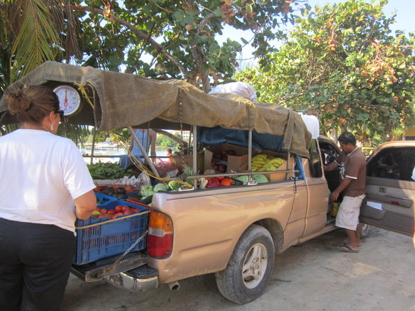 6709485-Fruit-and-Vegetable-Truck-0